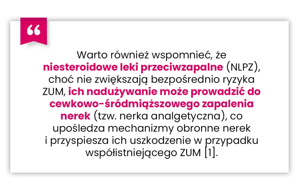 Polski tekst ostrzegający, że nadużywanie NLPZ może prowadzić do zapalenia nerek, zwłaszcza w przypadku istniejących infekcji dróg moczowych.