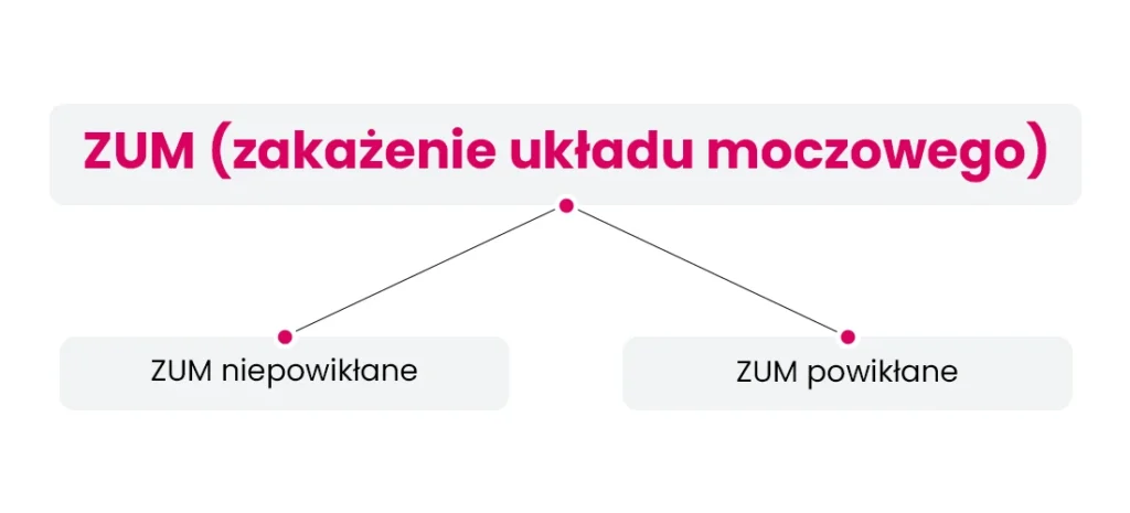 Schemat przedstawiający ZUM (zakażenie układu moczowego) rozgałęziający się na ZUM niepowikłane i ZUM powikłane na białym tle.