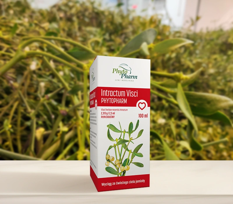 Pudełko suplementu ziołowego Phytopharm Intractum Visci stoi na białej powierzchni, z zielonymi roślinami jemioły rozmytymi w tle.