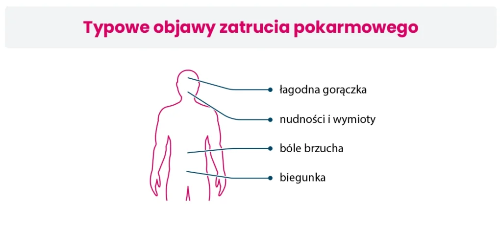 Schemat konturu człowieka ze strzałkami wskazującymi objawy zatrucia pokarmowego w języku polskim: łagodna gorączka, nudności i wymioty, ból brzucha i biegunka.