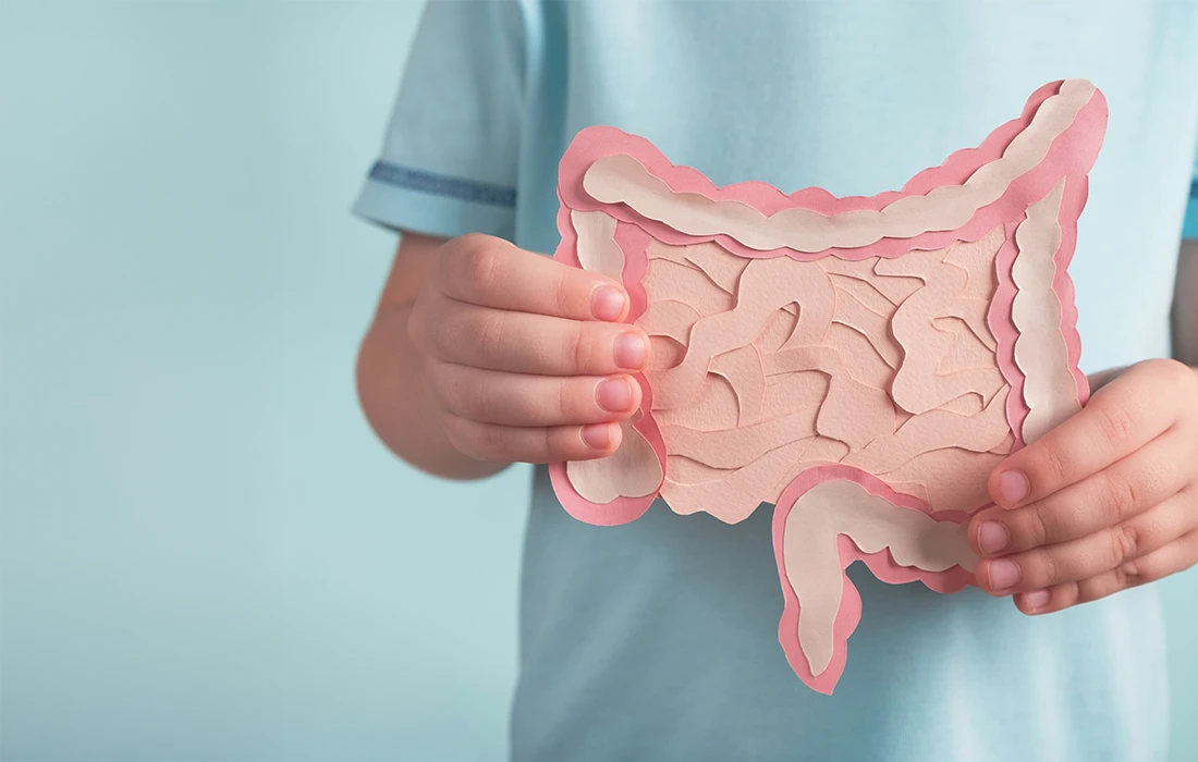 Osoba w jasnoniebieskiej koszuli trzyma papierowy wycinek ludzkiego przewodu pokarmowego na jasnoniebieskim tle.