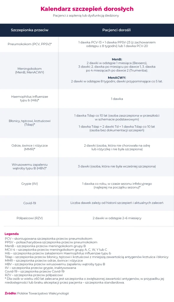 Polska tabela kalendarza szczepień dla dorosłych zawierająca zalecane szczepionki, dawki, odstępy czasu i legendę wyjaśniającą skróty, z kolorowymi nagłówkami i uwagami na dole.
