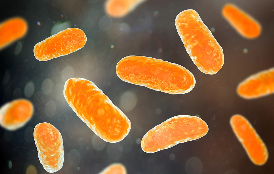 Zbliżenie ilustracji wielu pomarańczowych bakterii w kształcie pręcików unoszących się na ciemnym, rozmytym tle.