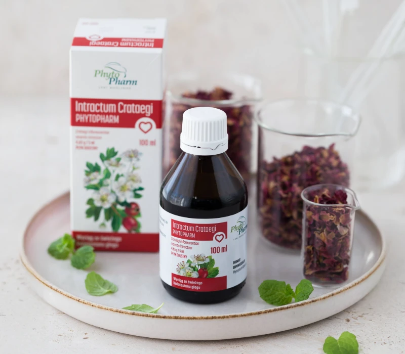 Butelka i pudełko PhytoPharm Intractum Crataegi stoją na tacy z suszonymi płatkami róży w szklanych pojemnikach i świeżymi liśćmi mięty zdobiącymi tacę.