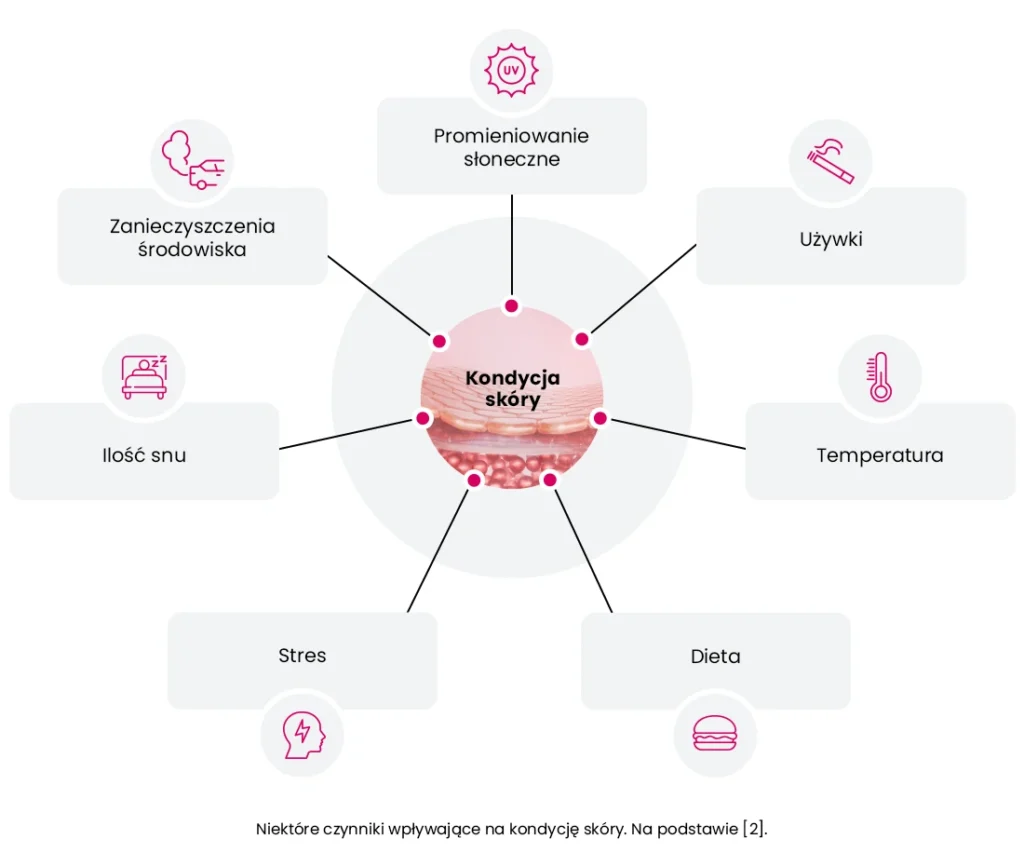 Diagram pokazujący czynniki wpływające na kondycję skóry: promieniowanie słoneczne, używki, temperatura, dieta, stres, ilość snu i zanieczyszczenia środowiska.