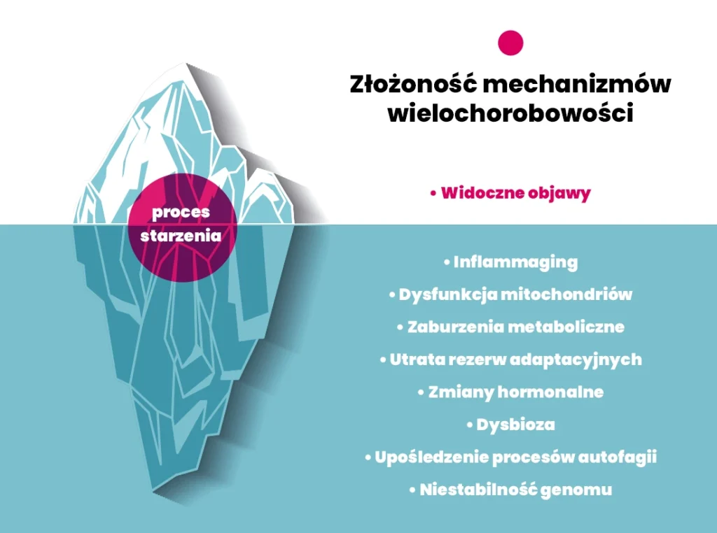 Diagram góry lodowej ilustrujący złożoność wielochorobowości; widoczny wierzchołek pokazuje objawy, podczas gdy ukryte przyczyny, takie jak stany zapalne i zmiany hormonalne, są wymienione pod spodem w języku polskim.